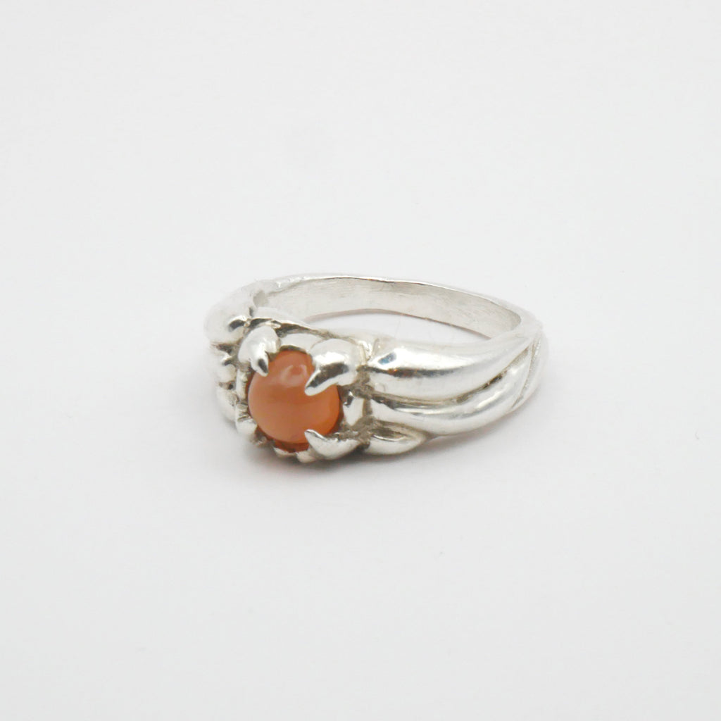 Costal Shell Ring - Peach Moonstone