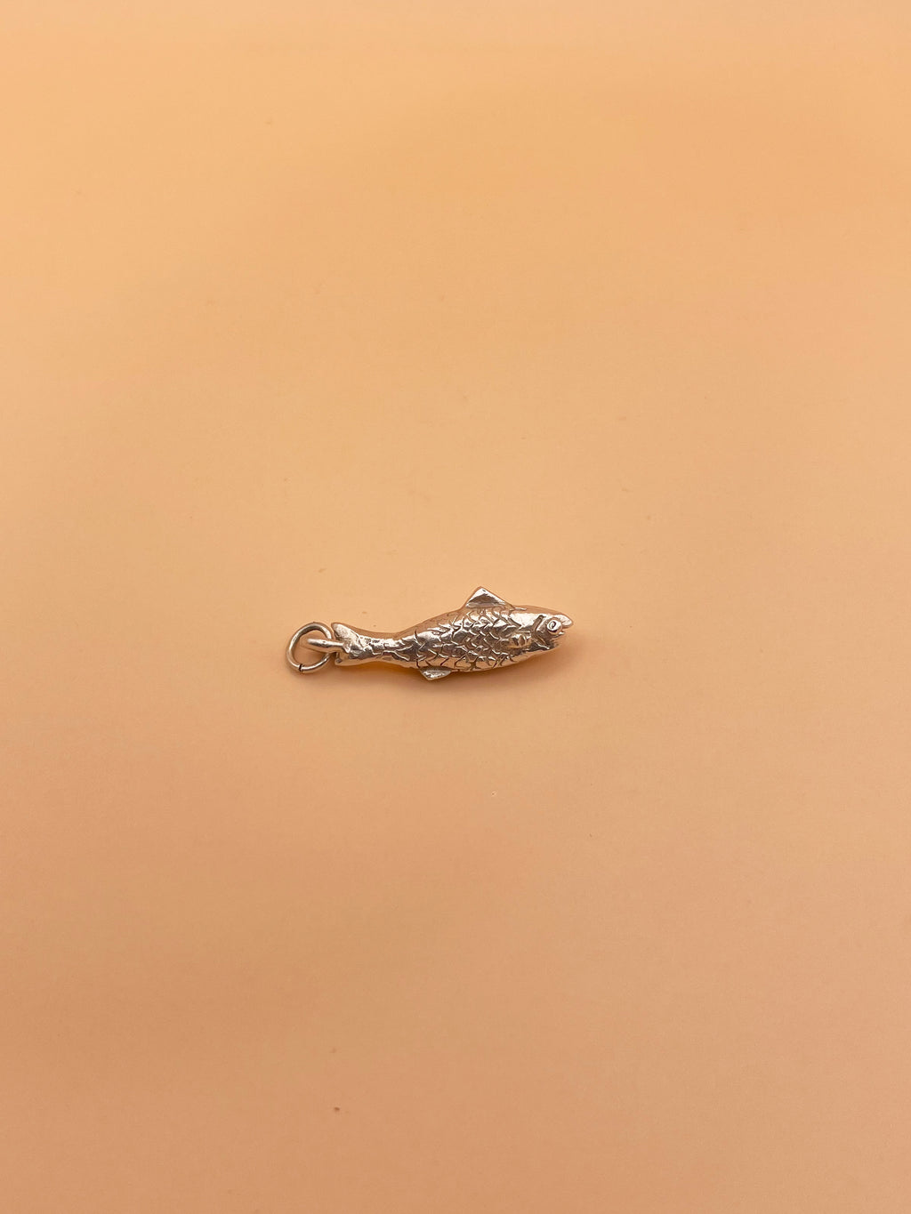 Reel Catch Fishy Charm