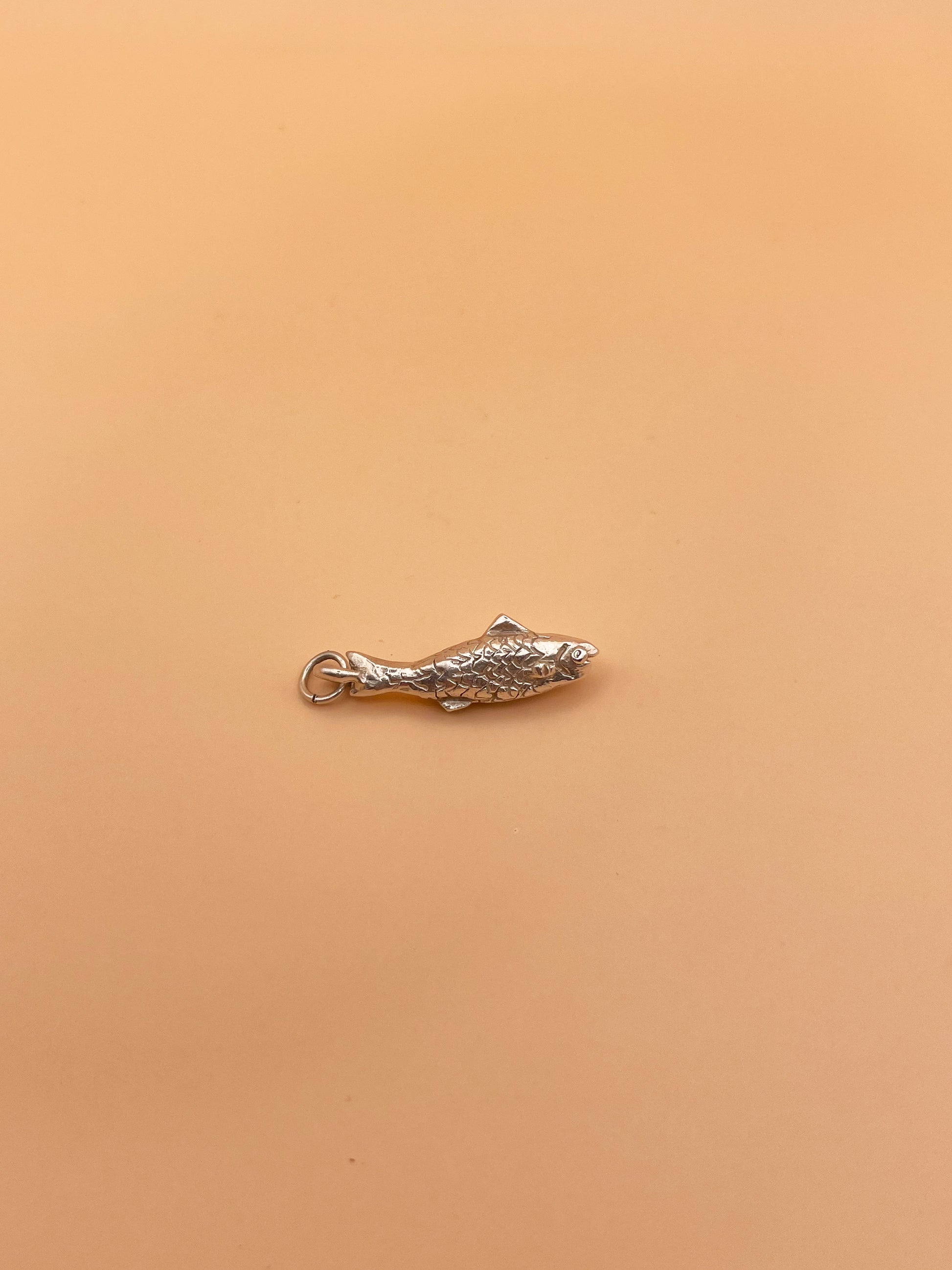 Reel Catch Fishy Charm